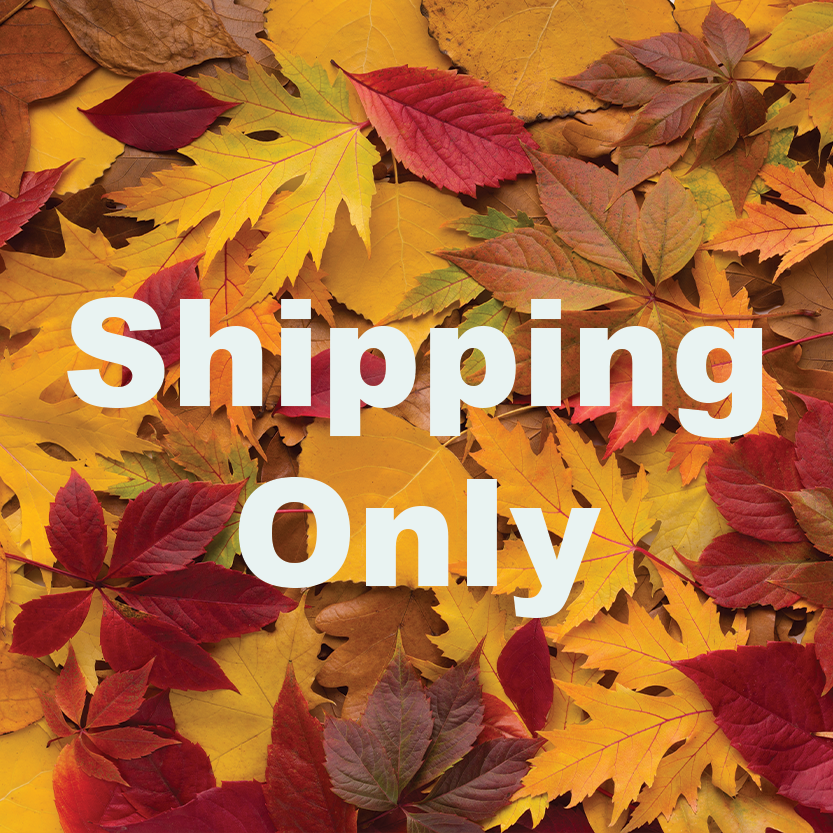 Shipping Only